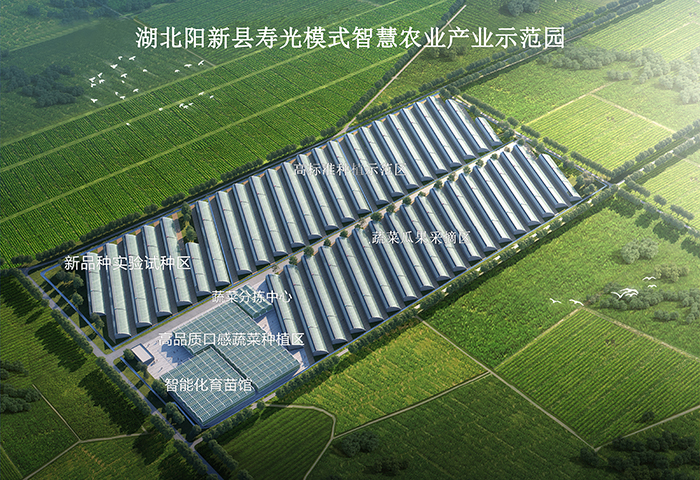 阳新县寿光模式智慧农业产业示范园